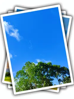 18Pic Clip Aesthetic