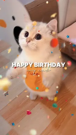 HPBD MY CAT
