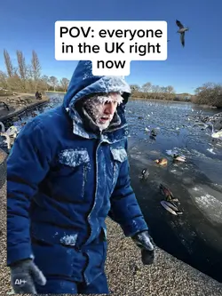 Winter meme