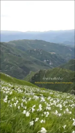 คิดถึงเป็นลม