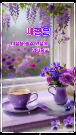 사랑은 좋은글 영상시 템플릿
