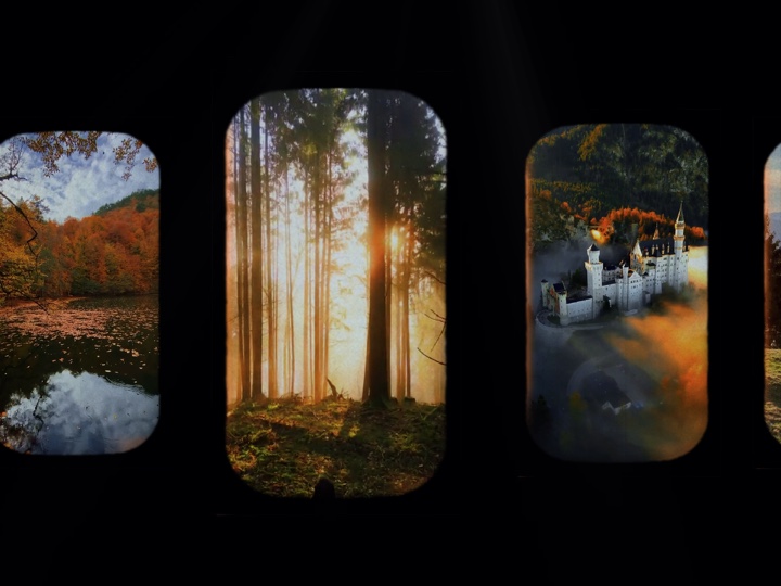 Cover Picture