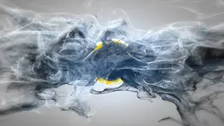 Disaster intro ³⁰