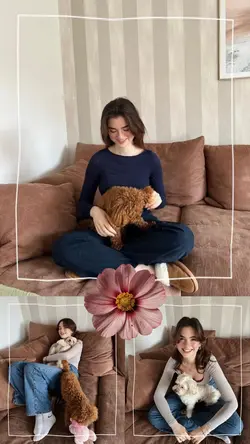3 photos