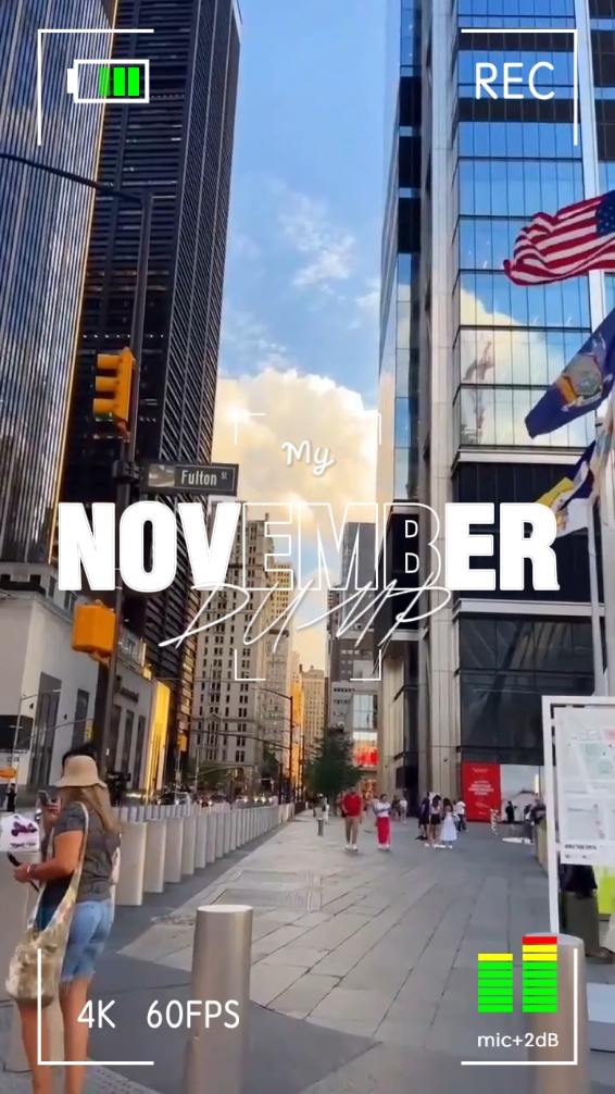 My November dump 