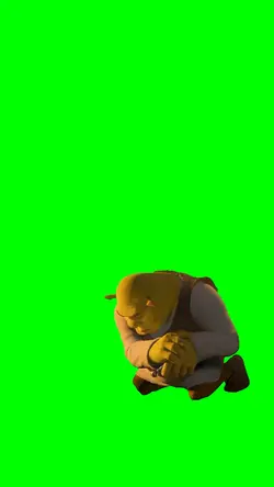 Shrek Rizz meme
