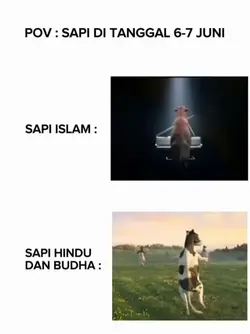 Story