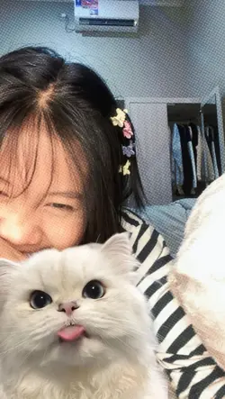 sama kucing