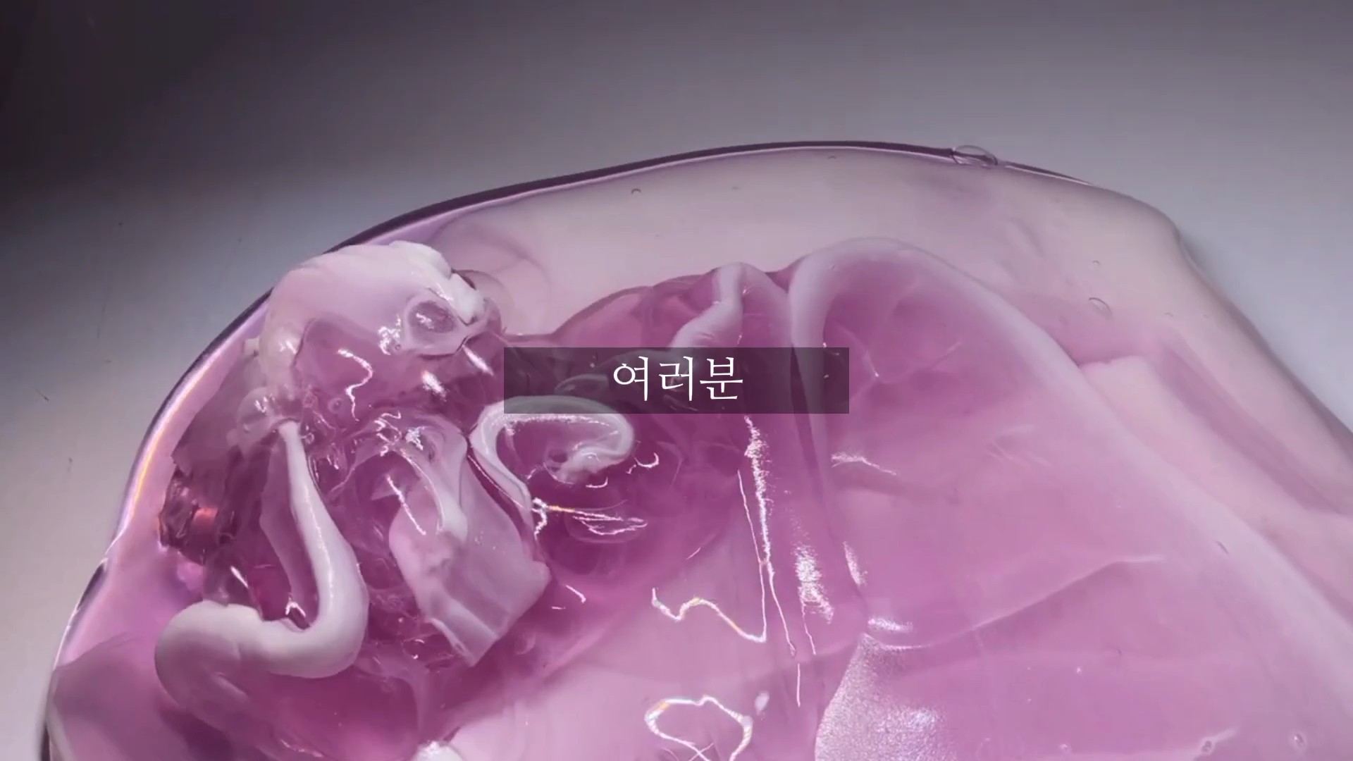500팔 공약? -팬애칭 정하기