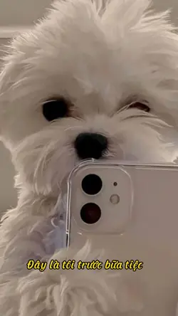Trước và sau tiệc