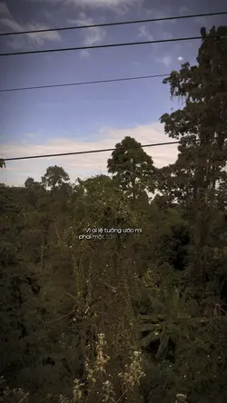 Vì ai lệ tuông