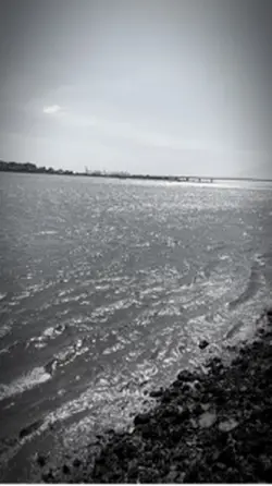 追星模板