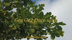 Motivational Geo Ong