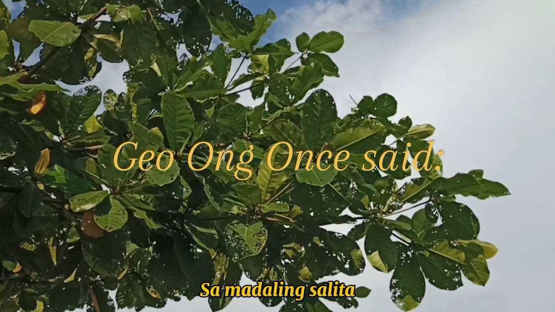 Cover Picture