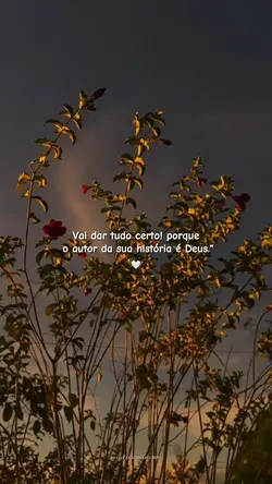 Vai dar tudo certo!
