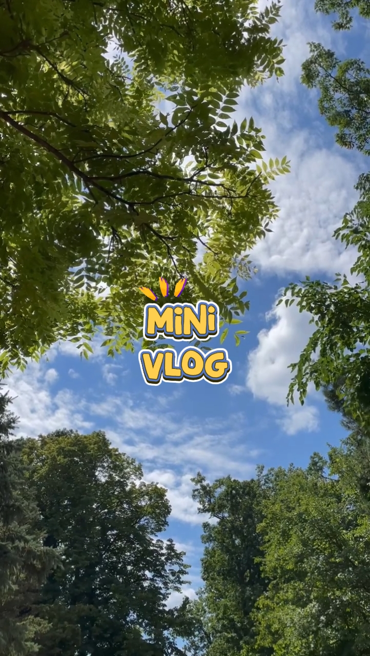 mini vlog