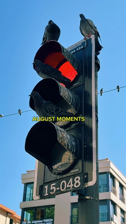 AUGUST MOMENTS 