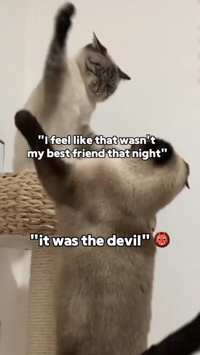 C'était le diable
