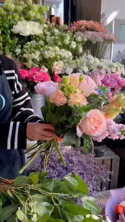 2 Video Clip