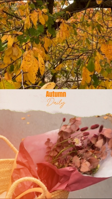 Herbst täglich