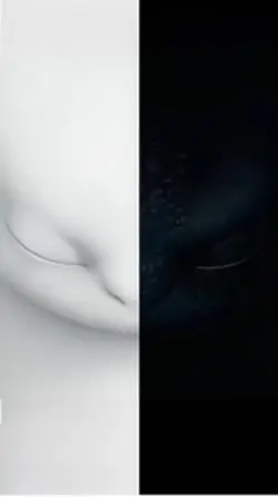 Live wallpaper 