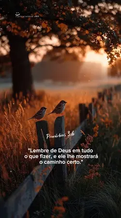 Provérbios 3:6