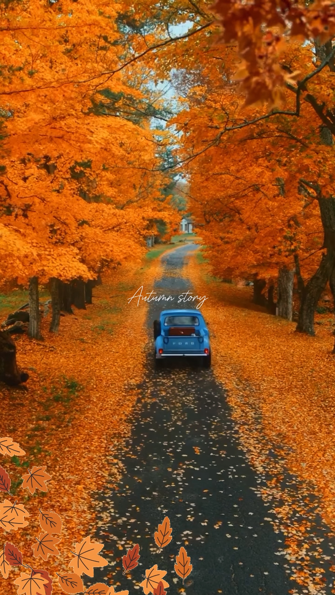 Autumn story