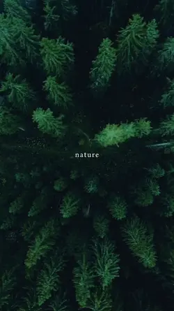 nature