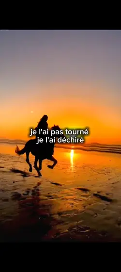 je l'ai déchiré..