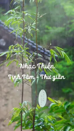 Nhạc Thiền tịnh tâm
