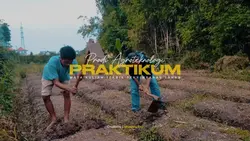Dokumenter sinematik