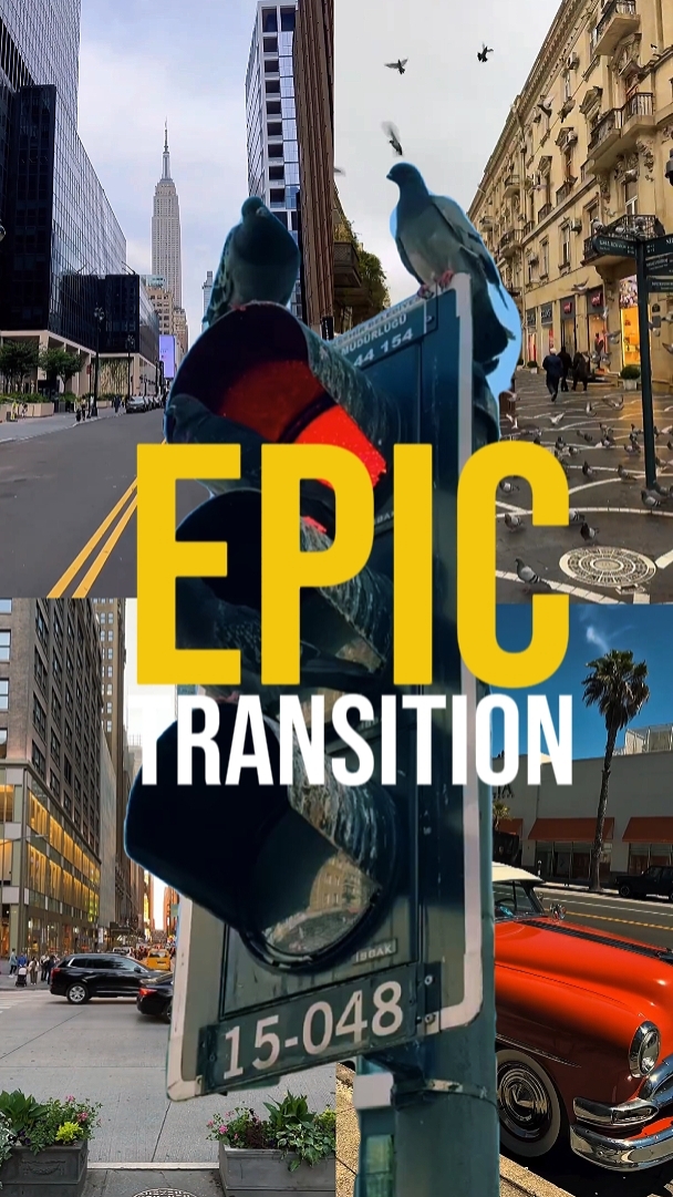 EPIC TRANSITION