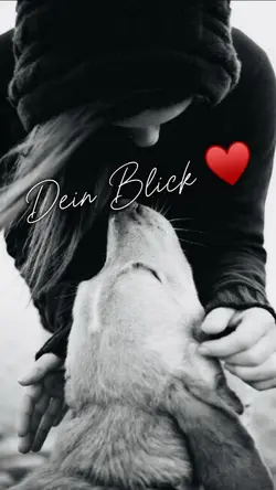 Dein Blick ♥️