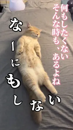 何もしない😪😴💤