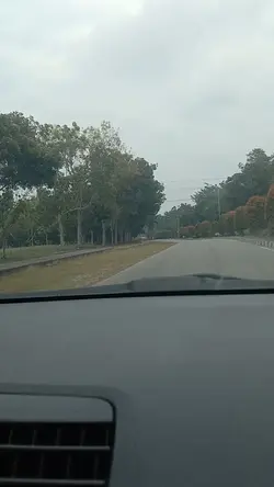 Bunga layu