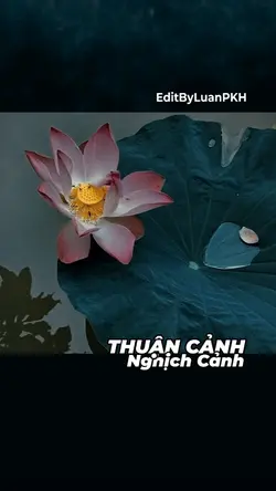 ThuậnCảnh NghịchCảnh