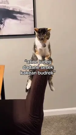 atine judeg dadane