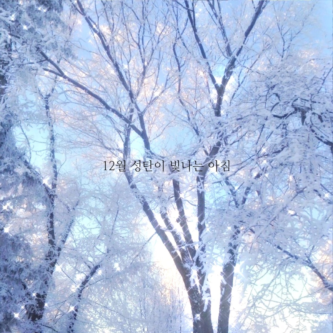 곧 크리스마스!!