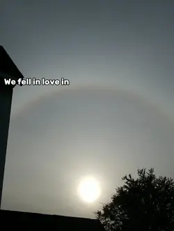 we fell in love in