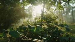 Daily Vlog