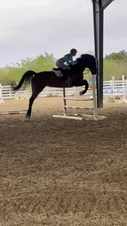 ⚠️FAKE‼️NOT REAL‼️