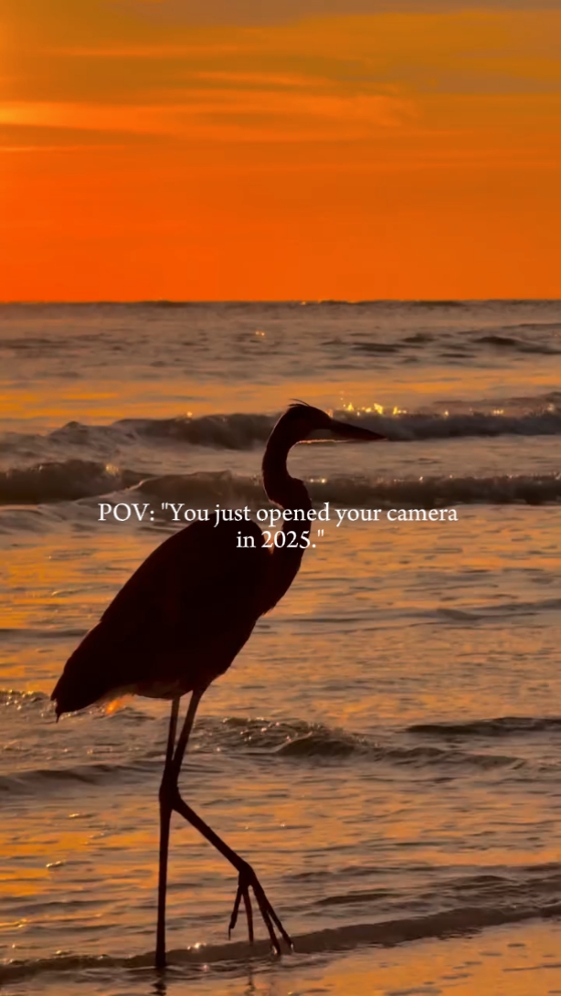 you open camera 2025
