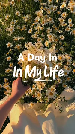 a day in my life 