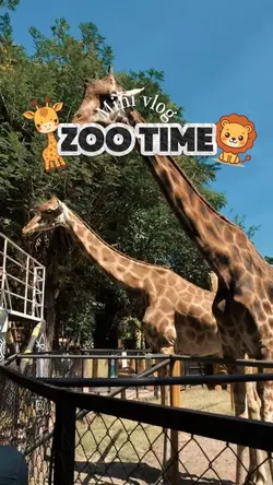 Zoo time