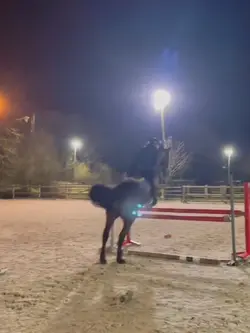 😻😻 | FAKE NOT REAL ‼️