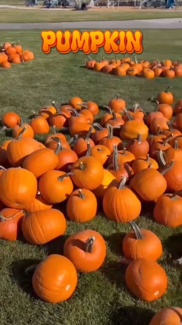 Calabaza