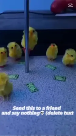 Send this to a frien