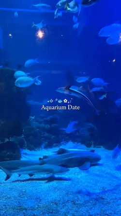 Aquarium Date 