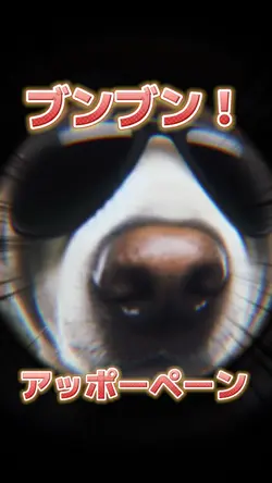 タテ写真1枚でブンブン動く♪