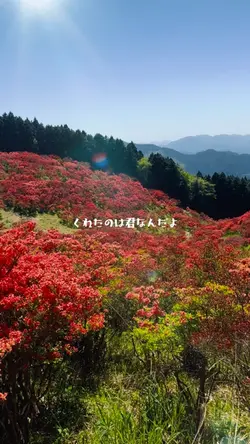 短い動画5つ歌詞テキスト削除可